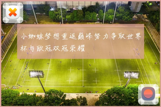 小蜘蛛梦想重返巅峰努力争取世界杯与欧冠双冠荣耀
